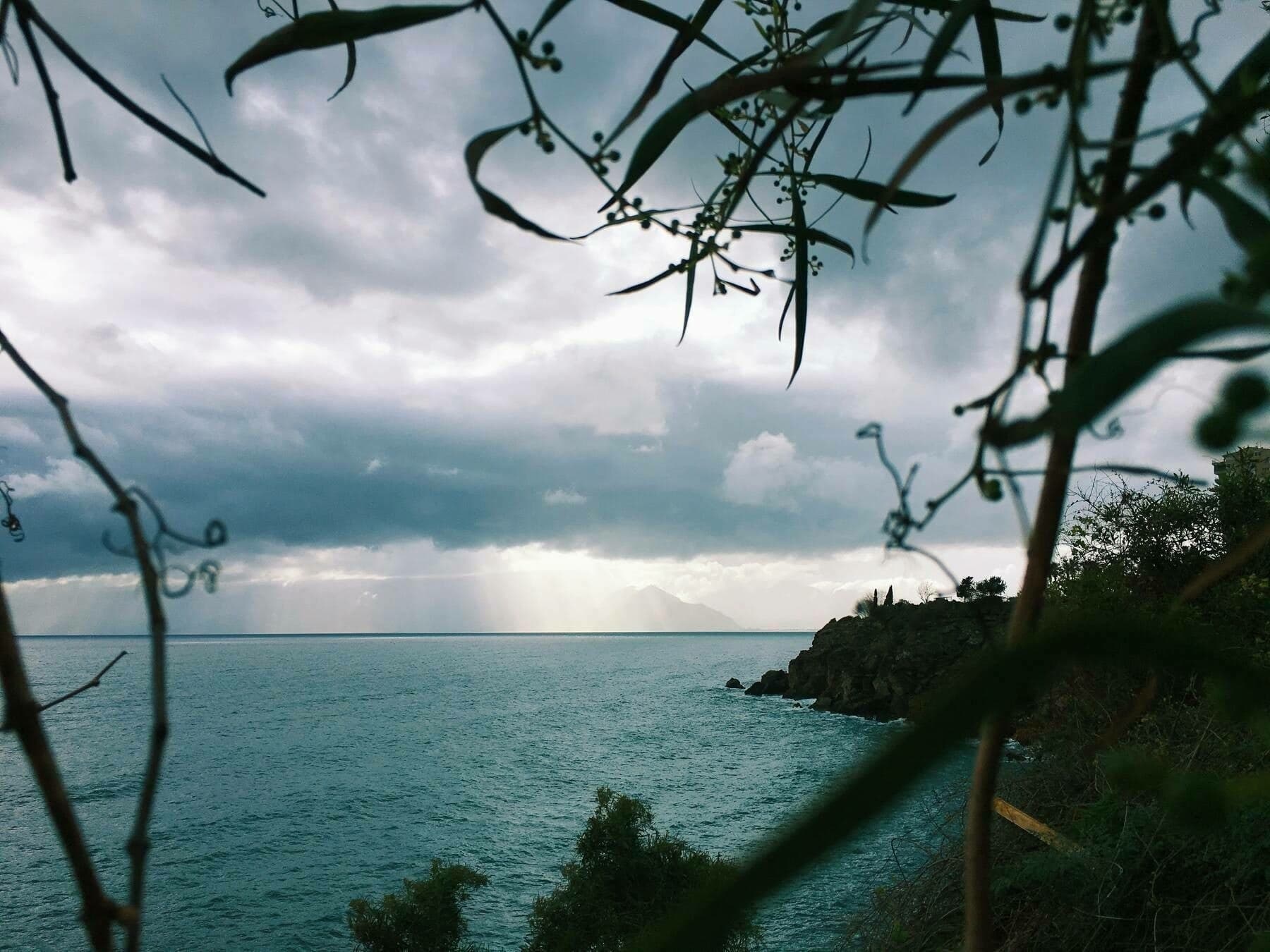 sea sight with coast in sight, and plants surrounding the view, antalya