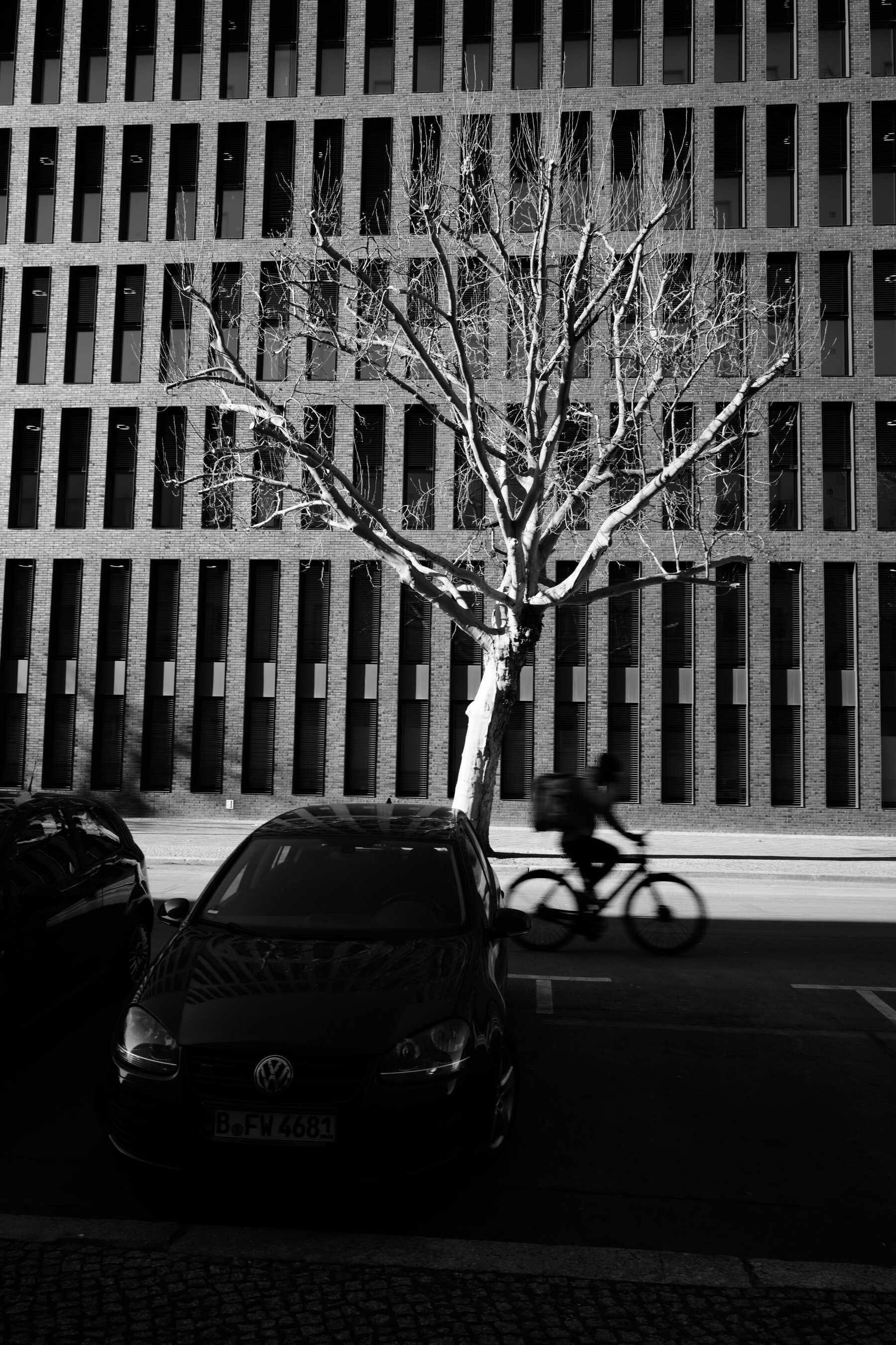 my photography - a pattern made by a building, with a tree in front of it, and a cyclist passing by, in high contrast black and white